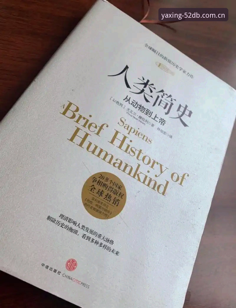 中国大陆仅此入口登录入口安装教程 读懂索斯盖特纪录片背后的年轻男性困境:一份实用观察指南